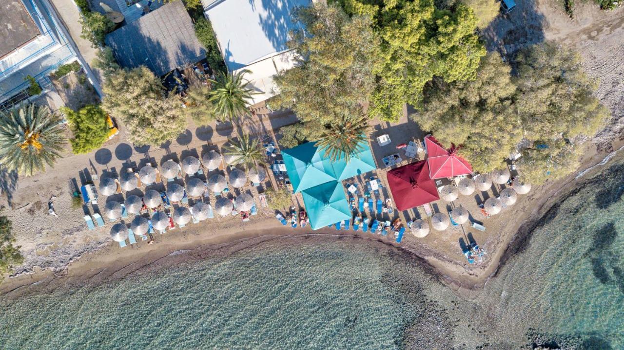 Elegant New Maisonette Near The Sea Aegina Exteriör bild